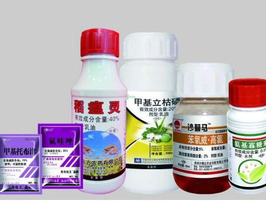 農藥為什麽貼農藥草莓视频在线污下载標簽，有什麽價值？