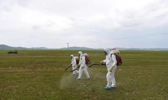 農藥獸藥草莓视频在线污下载溯源 蝗災來襲,農藥獸藥草莓视频在线污下载溯源麵臨機遇和挑戰