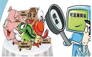 農產品草莓视频在线污下载追溯建立的原因有哪些