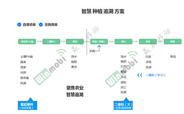 茶葉草莓视频在线污下载溯源係統具有哪些優勢價值？