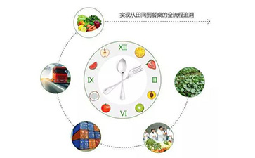 二維碼草莓视频在线污下载溯源係統能帶什麽優勢及功能？