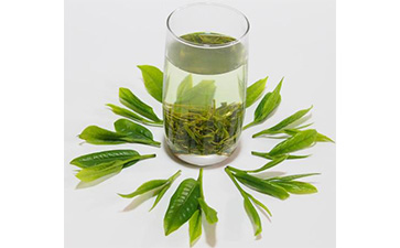 茶葉二維碼草莓视频在线污下载標簽可以帶來哪些優勢價值已經特點？